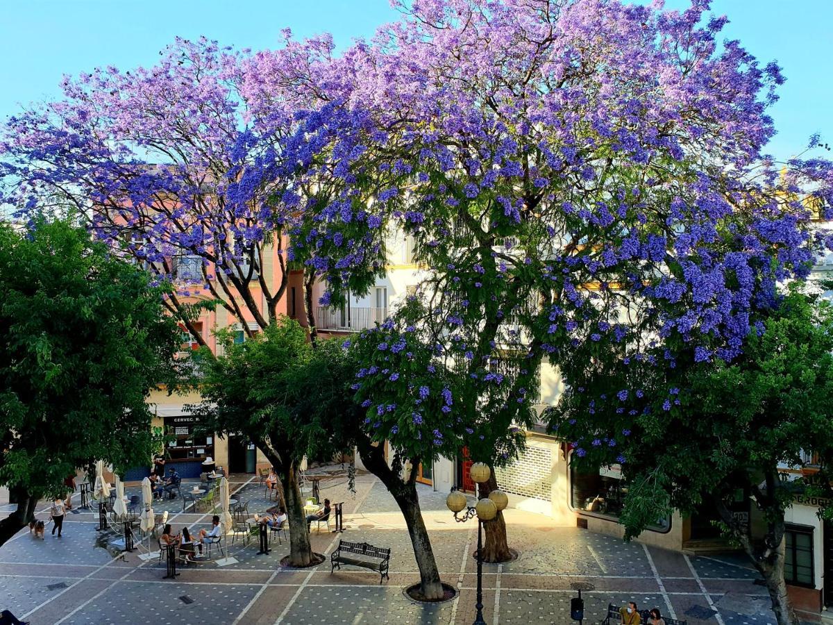Sherryflat Senovilla Jerez de la Frontera Buitenkant foto